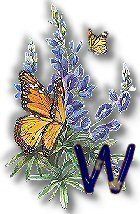 texasbluebonnets-45.jpg