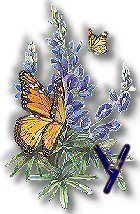 texasbluebonnets-49.jpg