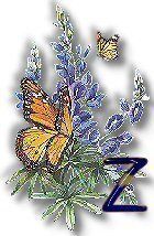 texasbluebonnets-51.jpg