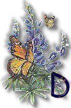 texasbluebonnets-7.jpg