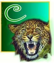 tigerC.jpg