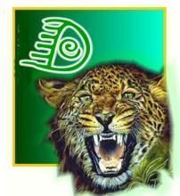 tigerD.jpg