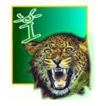 tigerI.jpg