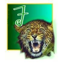 tigerJ.jpg