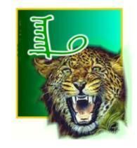 tigerL.jpg