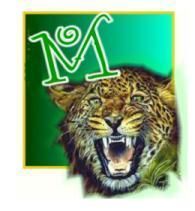 tigerM.jpg