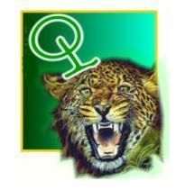 tigerQ.jpg