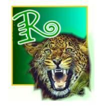 tigerR.jpg