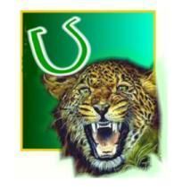 tigerU.jpg
