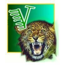 tigerV.jpg