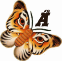 tigre-332112003394-1.gif