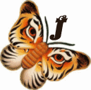 tigre-332112003394-10.gif