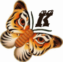 tigre-332112003394-11.gif