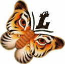 tigre-332112003394-12.gif