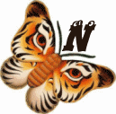 tigre-332112003394-14.gif