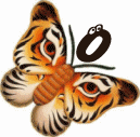 tigre-332112003394-15.gif