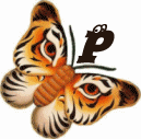 tigre-332112003394-16.gif