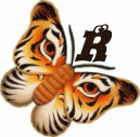 tigre-332112003394-18.gif