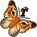 tigre-332112003394-20.gif