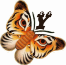 tigre-332112003394-25.gif