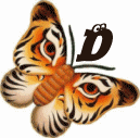 tigre-332112003394-4.gif