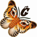 tigre-332112003394-7.gif