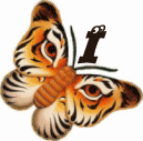 tigre-332112003394-9.gif