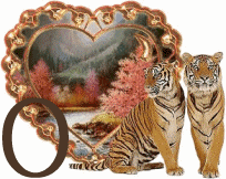 tigre-33330-15.gif