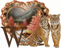 tigre-33330-23.gif