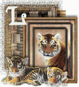 tigre-44005458-12.gif