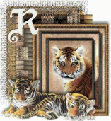 tigre-44005458-18.gif