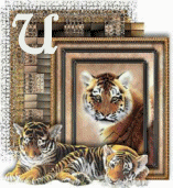 tigre-44005458-21.gif