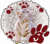 tigre-545458888-10.gif