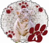 tigre-545458888-11.gif