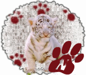 tigre-545458888-14.gif