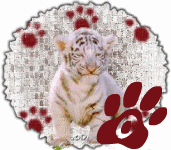 tigre-545458888-15.gif