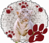 tigre-545458888-16.gif