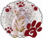 tigre-545458888-17.gif