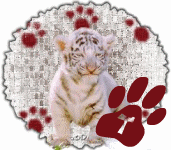 tigre-545458888-20.gif