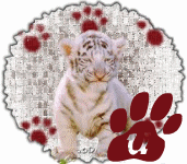 tigre-545458888-21.gif