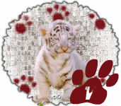 tigre-545458888-22.gif