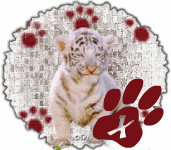 tigre-545458888-24.gif