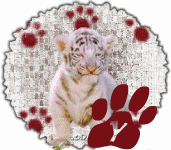 tigre-545458888-25.gif