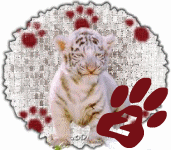 tigre-545458888-26.gif