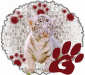 tigre-545458888-3.gif