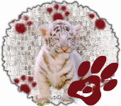 tigre-545458888-4.gif