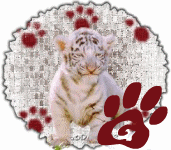 tigre-545458888-7.gif