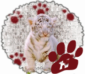 tigre-545458888-8.gif