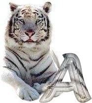 tigre-6120987-1.jpg