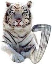 tigre-6120987-10.jpg